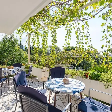 Ankon Villa
